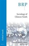 Laurence Roulleau-Berger, Liang Su - Sociology of Chinese Youth