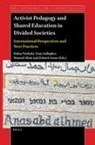Dafna Yitzhaki - Activist Pedagogy and Shared Education in Divided Societies