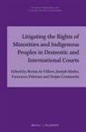 Sergiu Constantin, Bertus De Villiers, Joseph Marko, Francesco Palermo - Litigating the Rights of Minorities and Indigenous Peoples in Domestic and International Courts