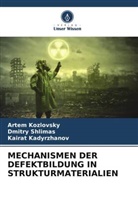 Kair Kadyrzhanov, Kairat Kadyrzhanov, Artem Kozlovsky, Dmitry Shlimas - MECHANISMEN DER DEFEKTBILDUNG IN STRUKTURMATERIALIEN