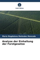 María Magdalena Meléndez Moncada - Analyse der Einhaltung der Forstgesetze