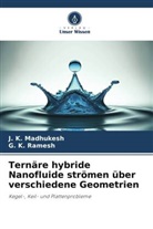 J K Madhukesh, J. K. Madhukesh, G K Ramesh, G. K. Ramesh - Ternäre hybride Nanofluide strömen über verschiedene Geometrien