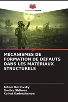 Kairat Kadyrzhanow, Artem Kozlovsky, Dmitry Shlimas - MÉCANISMES DE FORMATION DE DÉFAUTS DANS LES MATÉRIAUX STRUCTURELS