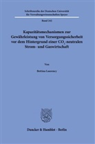 Bettina Laurency - Kapazitätsmechanismen zur Gewährleistung von Versorgungssicherheit vor dem Hintergrund einer CO2-neutralen Strom- und Gaswirtschaft.