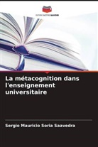 Sergio Mauricio Soria Saavedra - La métacognition dans l'enseignement universitaire