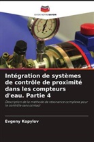 Evgeny Kopylov - Intégration de systèmes de contrôle de proximité dans les compteurs d'eau. Partie 4