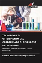 Bekzod Babamuratov  Ergashevich, Bekzod Babamuratov Ergashevich - TECNOLOGIA DI OTTENIMENTO DEL CARBAMMATO DI CELLULOSA DALLE PIANTE