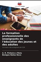 Benigno Núñez Novo, A. R. Pinheiro e Mota - La formation professionnelle des enseignants de l'éducation des jeunes et des adultes