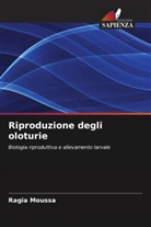 Ragia Moussa - Riproduzione degli oloturie