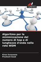 Prashant Goad, Kiran Sonawane - Algoritmo per la minimizzazione del numero di hop e di lunghezze d'onda nella rete WDM