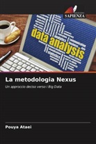 Pouya Ataei - La metodologia Nexus