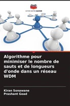 Prashant Goad, Kiran Sonawane - Algorithme pour minimiser le nombre de sauts et de longueurs d'onde dans un réseau WDM