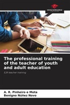 Benigno Núñez Novo, A. R. Pinheiro e Mota - The professional training of the teacher of youth and adult education