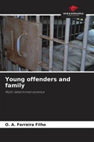 O. A. Ferreira Filho - Young offenders and family