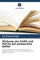 Kul Prasad Kandel - Wirkung von GnRH und PGF2  auf postpartale Büffel