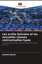 Andrea Biondi - Les arrêts Schrems et les nouvelles clauses contractuelles types
