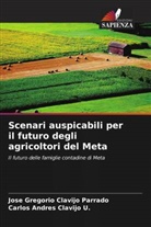 Jose Gregorio Clavijo Parrado, Carlos Andres Clavijo U. - Scenari auspicabili per il futuro degli agricoltori del Meta