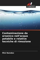 Mini Namdeo - Contaminazione da arsenico nell'acqua potabile e relative tecniche di rimozione