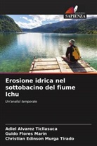 Adiel Alvarez Ticllasuca, Guido Flores Marín, Christian Edinson Murga Tirado - Erosione idrica nel sottobacino del fiume Ichu
