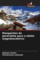 Chandrakant Lokhande, Abhijeet Shelke - Manganitos de perovskita para o efeito magnetocalórico