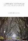 Andrew Teverson, Andrew Teverson - A Cultural History of Fairy Tales in the Modern Age