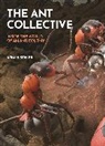 Armin Schieb - Ant Collective