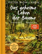 Peter Wohlleben, Fred Bernard, Benjamin Flao - Das geheime Leben der Bäume