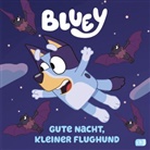 BLUEY - Gute Nacht, kleiner Flughund