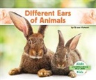 Grace Hansen - Different Ears of Animals