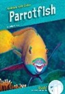 Julie Murray - Parrotfish