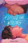 Adam Rex - A Little Like Waking