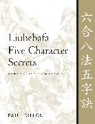 Paul Dillon - Liuhebafa Five Character Secrets