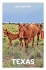 Insight Guides, Rashmi Narayan - Texas 7th Edition