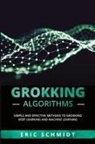 Eric Schmidt - GROKKING ALGORITHMS