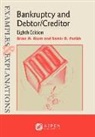 Brian A Blum, Brian A. Blum, Samir D Parikh, Samir D. Parikh - Examples & Explanations for Bankruptcy and Debtor/Creditor