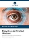 Sravani Devi Yerrarapu - Bildsynthese der Netzhaut (Glaukom)