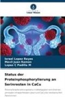 Mavil Juan Ramon, Israel Lopez Reyes, L Padilla M, Lopez C Padilla M - Status der Proteinphosphorylierung an Serinresten in CaCu