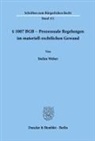 Stefan Weber - §   1007 BGB - Prozessuale Regelungen im materiell-rechtlichen Gewand.