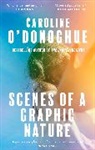 Caroline O'Donoghue - Scenes of a Graphic Nature