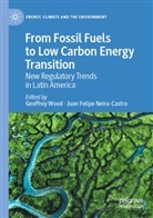Felipe Neira-Castro, Juan Felipe Neira-Castro, Geoffrey Wood - From Fossil Fuels to Low Carbon Energy Transition