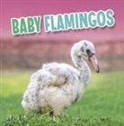 Martha E. H. Rustad - BABY FLAMINGOS