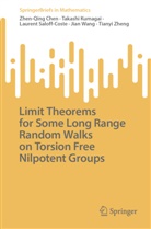 Zhen-qing Chen, Takashi Kumagai, Lau Saloff-Coste, Laurent Saloff-Coste, Jian Wang, Tianyi Zheng - Limit Theorems for Some Long Range Random Walks on Torsion Free Nilpotent Groups