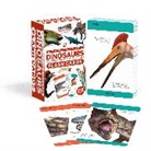 Dk - Our World in Pictures Dinosaurs and Other Prehistoric Creatures Flash Cards