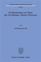 Carl Hermann Ule - Rechtstatsachen zur Dauer des Verwaltungs- (Finanz-)Prozesses.