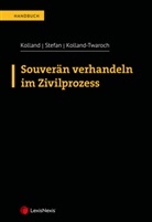 Markus Kolland, Katharina Kolland-Twaroch, Gerhard Stefan - Souverän verhandeln im Zivilprozess