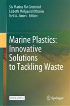 Neil A James, Siv Marina Flø Grimstad, Neil A. James, Lisbeth Mølgaard Ottosen, Lisbeth Mølgaard Ottosen - Marine Plastics: Innovative Solutions to Tackling Waste