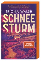 Tríona Walsh - Schneesturm