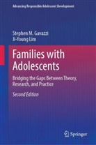 Stephen M Gavazzi, Stephen M. Gavazzi, Ji-Young Lim - Families with Adolescents