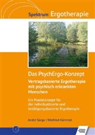 Winfried Kümmel, André Sorge - Das PsychErgo-Konzept