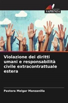 Pastora Melgar Manzanilla - Violazione dei diritti umani e responsabilità civile extracontrattuale estera